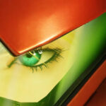 Metroid Ravenous